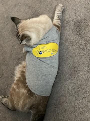 I am Pawsome - Pet Tee