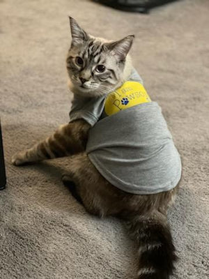 I am Pawsome - Pet Tee